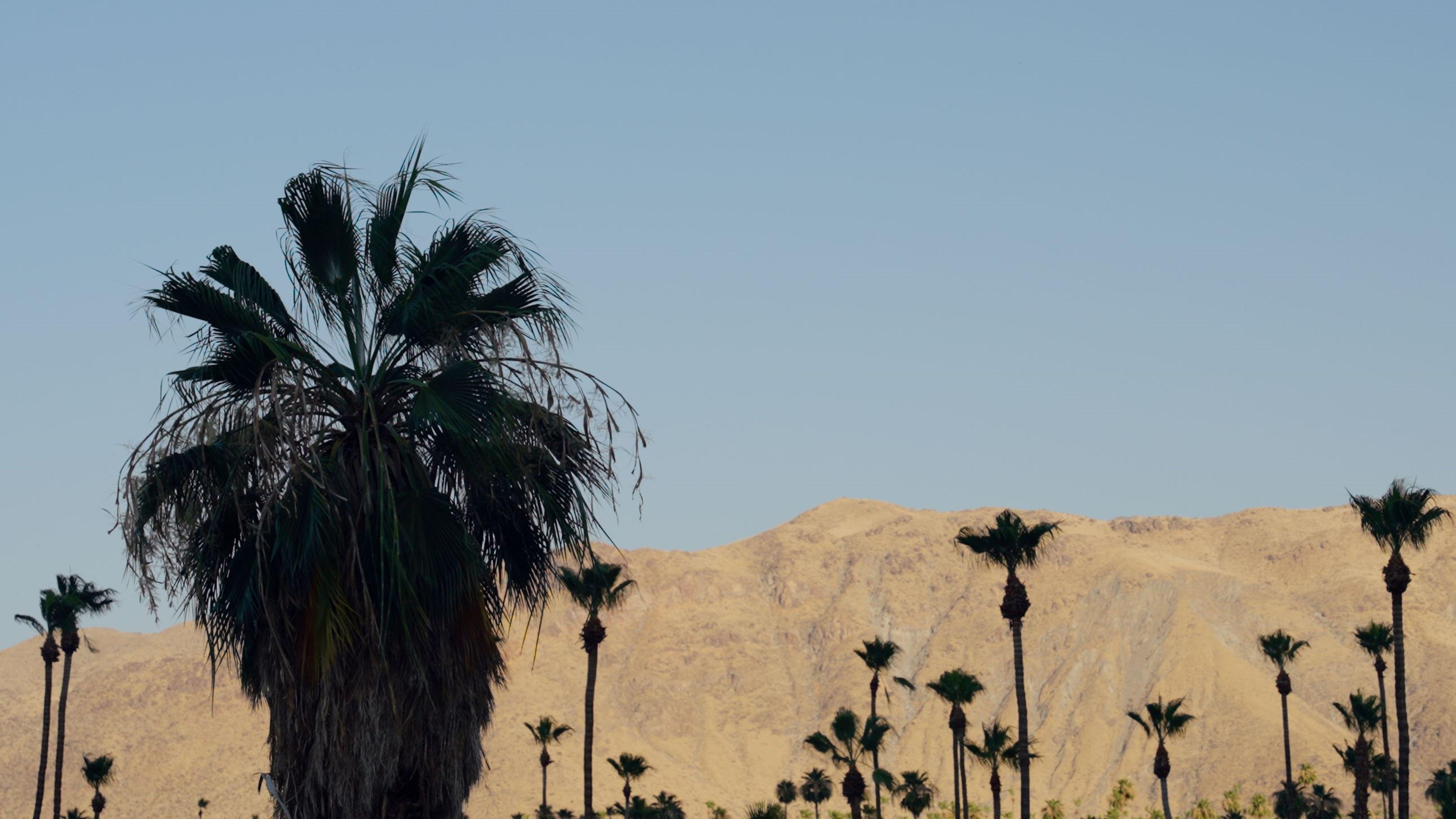 Royal Sun Palm Springs Hotel Exterior photo